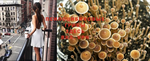 альфа пвп Володарск